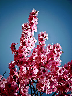 an image
